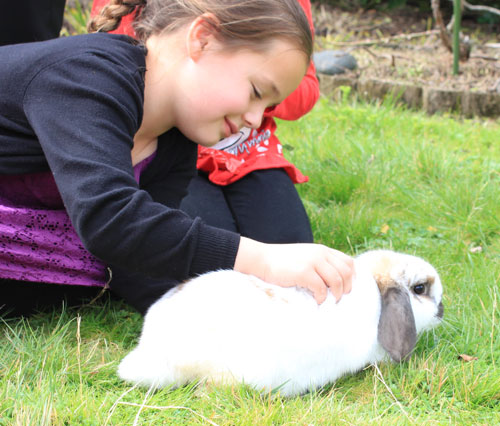 A child meeting Jimmy Marvel's magic bunny